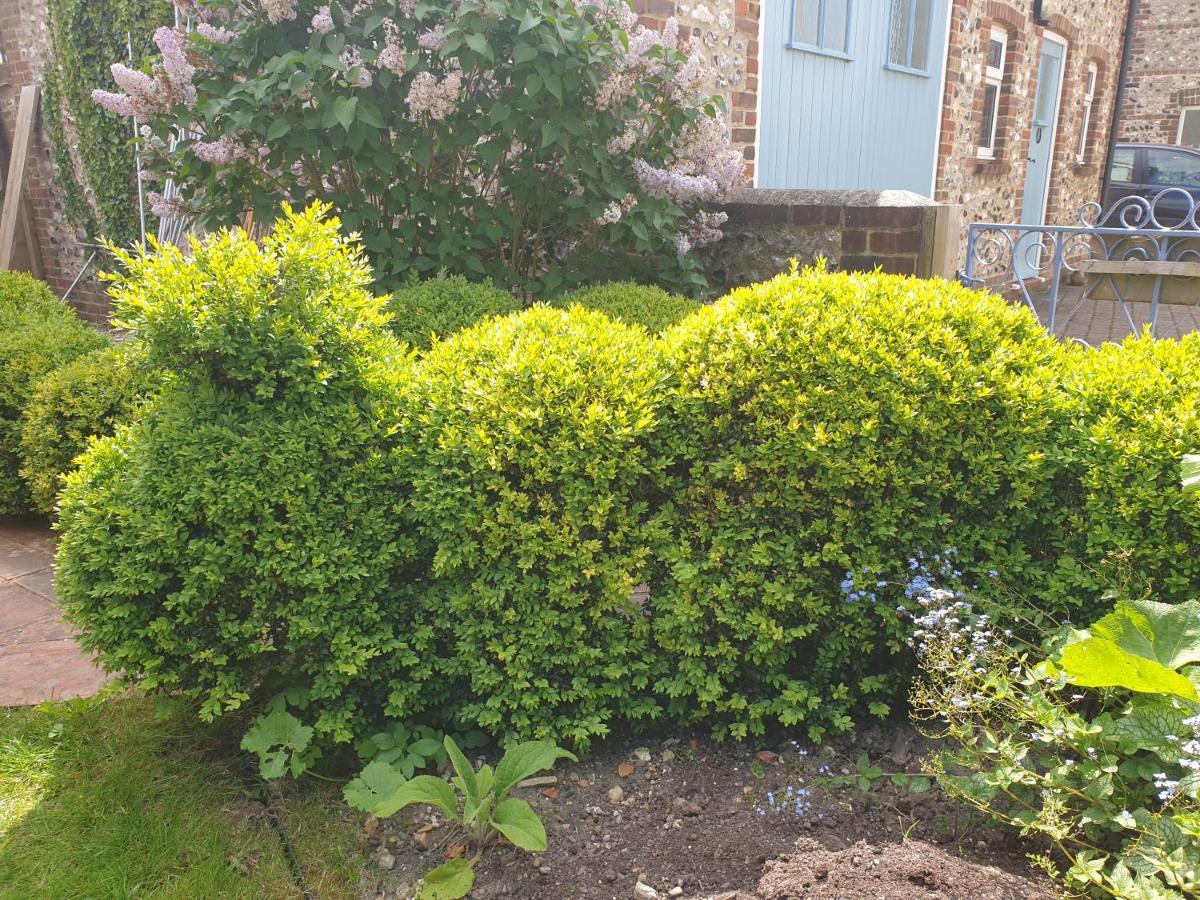Delightful Cottage On The River Adur Close To Brighton & The Downs No Dogs Sorry Upper Beeding Esterno foto